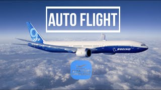 B777 CBT Auto Flight screenshot 5