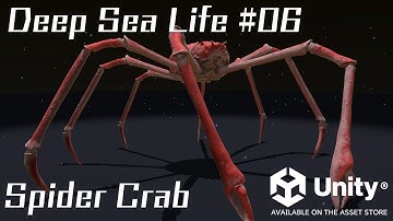 UNITY ASSET : DEEP SEA LIFE #06 Spider Crab  /  UNITYアセット 深海生物シリーズ06 タカアシガニ