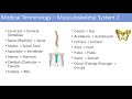 Medical terminology  lesson 7  musculoskeletal and reproductive anatomy terms