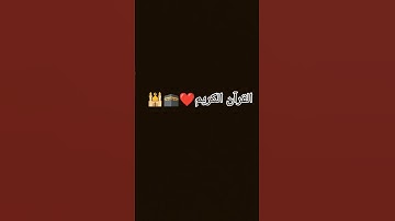 احترم القرآن الكريم لمدة 15 ثانية على الاقل 🥺❤️🕋🕌 #إسلام_صبحي #تلاوة_هادئة #تلاوة_خاشعة #خواتيم_سورة