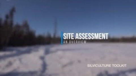 Silviculture Toolkit - SITE ASSESSMENT