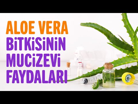 Aloe Vera Bitkisinin 8 Faydası, Aloe Vera Neye İyi Gelir? | Sağlıklı Yaşam Sırları