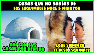 ¿Cómo besáis los esquimales?