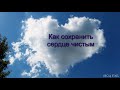 "Как сохранить сердце чистым". И. П. Плетт. МСЦ ЕХБ.