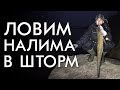 ЛОВИМ НАЛИМА В ШТОРМ НА ПРОДОЛЬНИКИ / РЫБАЛКА ОСЕНЬ 2019