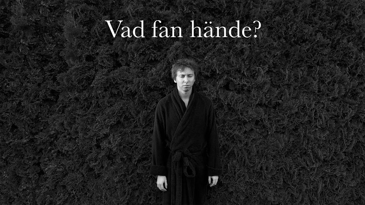 Vad fan hände? Föreläsning (Swedish only) YouTube