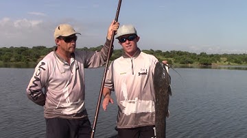 NOMAD multi-pole Pushpole