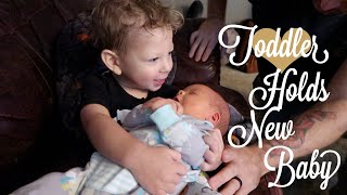 Toddler Holds New Baby Brother For The First Time