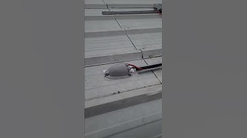Installing solar panels on my metal shed! #shorts #solar #summer23