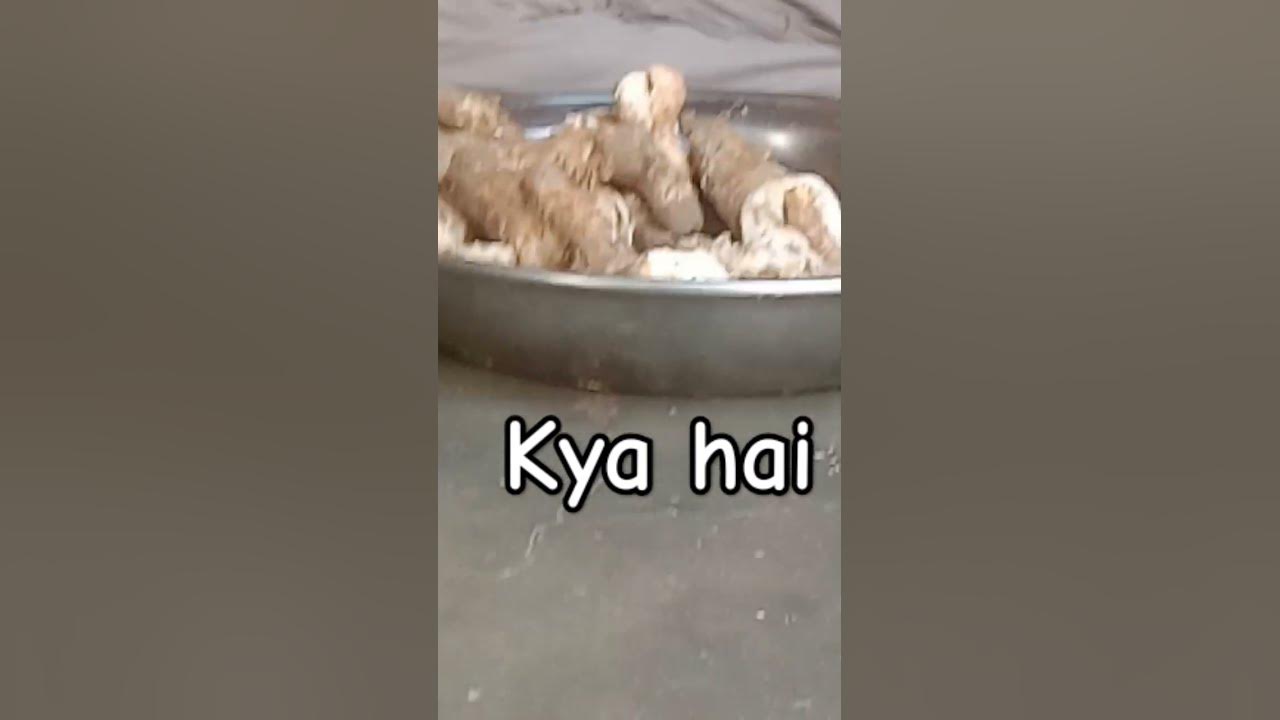 kya h YouTube