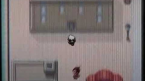 Pokemon Emerald Walkthrough Part 6