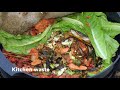 8 week time lapse of Wormery. Kitchen waste being turned into compost