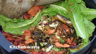 8 week time lapse of Wormery. Kitchen waste being turned into compost by Neil Bromhall 9,382 views 2 years ago 1 minute, 56 seconds