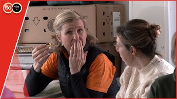 Vrijwilligers steken de handen uit de mouwen tijdens NLdoet