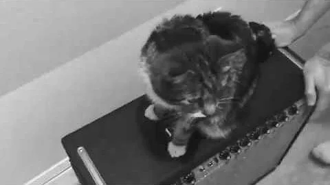 Hey Judy - Tulsa Band - Hot Shot Trucker