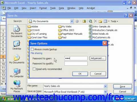 excel 2003 password protection