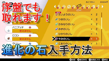 ポケモン最新作 雷の石