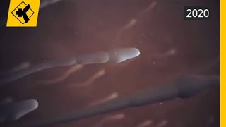 Zbulohet proteina e spermatozoidit