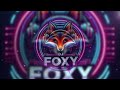 ماجد المهندس - جننت قلبي - ريمكس DJ FOXY