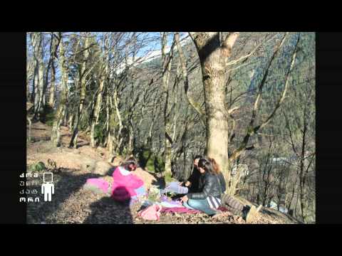 ასწავლე საქართველოსთვის