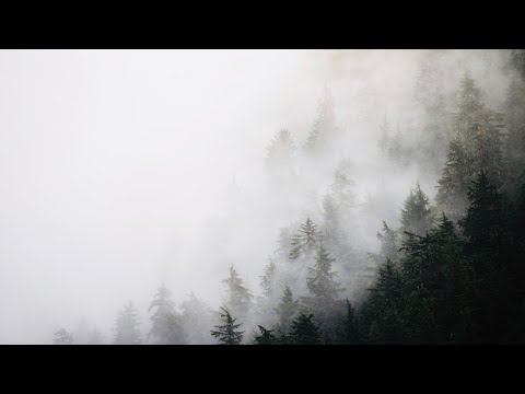 MICHAEL FK - Path to Freedom