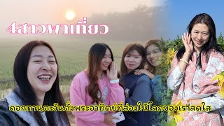 4สาวออกเดินทางเจอต้นงิ้วจะลงเก็บหรือจะปีนขึ้นต้นงิ้ว