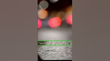 حالات واتساب دينية..        (آيات من الذكر الحكيم)