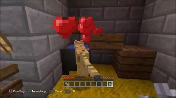 Minecraft-How to Tame an Ocelot (version 1.46)