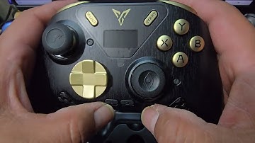 FLYDIGI APEX 4 BLACK MYTH WUKONG