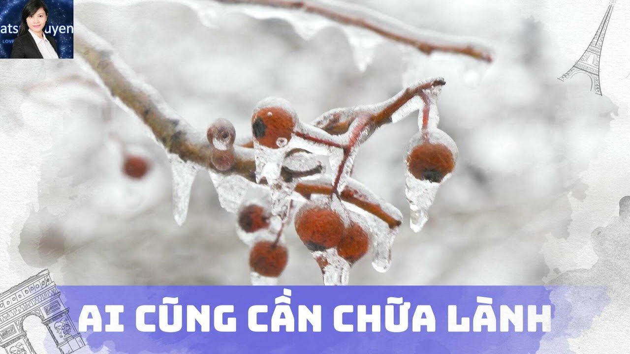 Hậu quả của ái kỷ | Giải pháp cho NGƯỜI ÁI KỶ