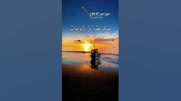 سورة هود الايه 37-40