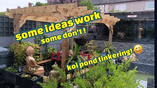 another mad idea that works bonsai seedlings koi and pond a day in my life #koi #koipond