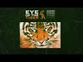 Survivor - Eye Of The Tiger (KOLTENS Remix)