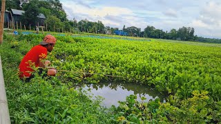 Amazing Daily Life Fishing Video In Flood Water Smart Boy Fishing  Monster Fish With Hook In village