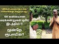 Isha Nursery Garden Madurai - அதிக லாபம் தரும் மரம் வளர்ப்பு - விவசாயிகளுக்கான ஓர் அரியவாய்ப்பு!