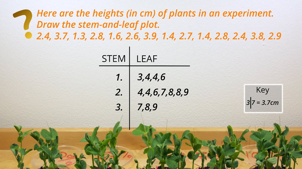 week 2 assignment stem and leaf plots