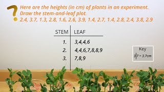 How to graph a Stem-and-Leaf Plot