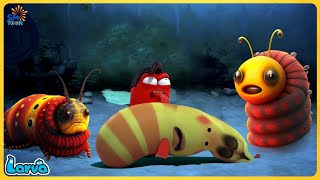 🔴 LARVA FULL EPISODE | THE BEST OF FUNNY CARTOON | CARTOONS MOVIES NEW VERSION | TRY NOT TO LAUGH