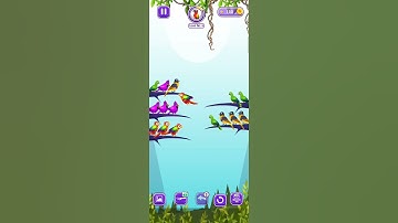 color bird sort puzzle games my first vlog video level 4 🕊️🕊️🕊️🕊️🕊️🕊️🕊️
