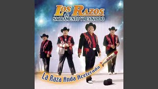 Video thumbnail of "Los Razos - Amorcito Norteño"