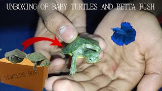 Finally Turtles are here| unboxing of Redeared slider baby turtles