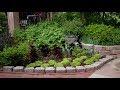 Planting day! Sweet Potatoes, Coleus, Sedum & Hellebores! 👩‍🌾🌿 // Garden Answer