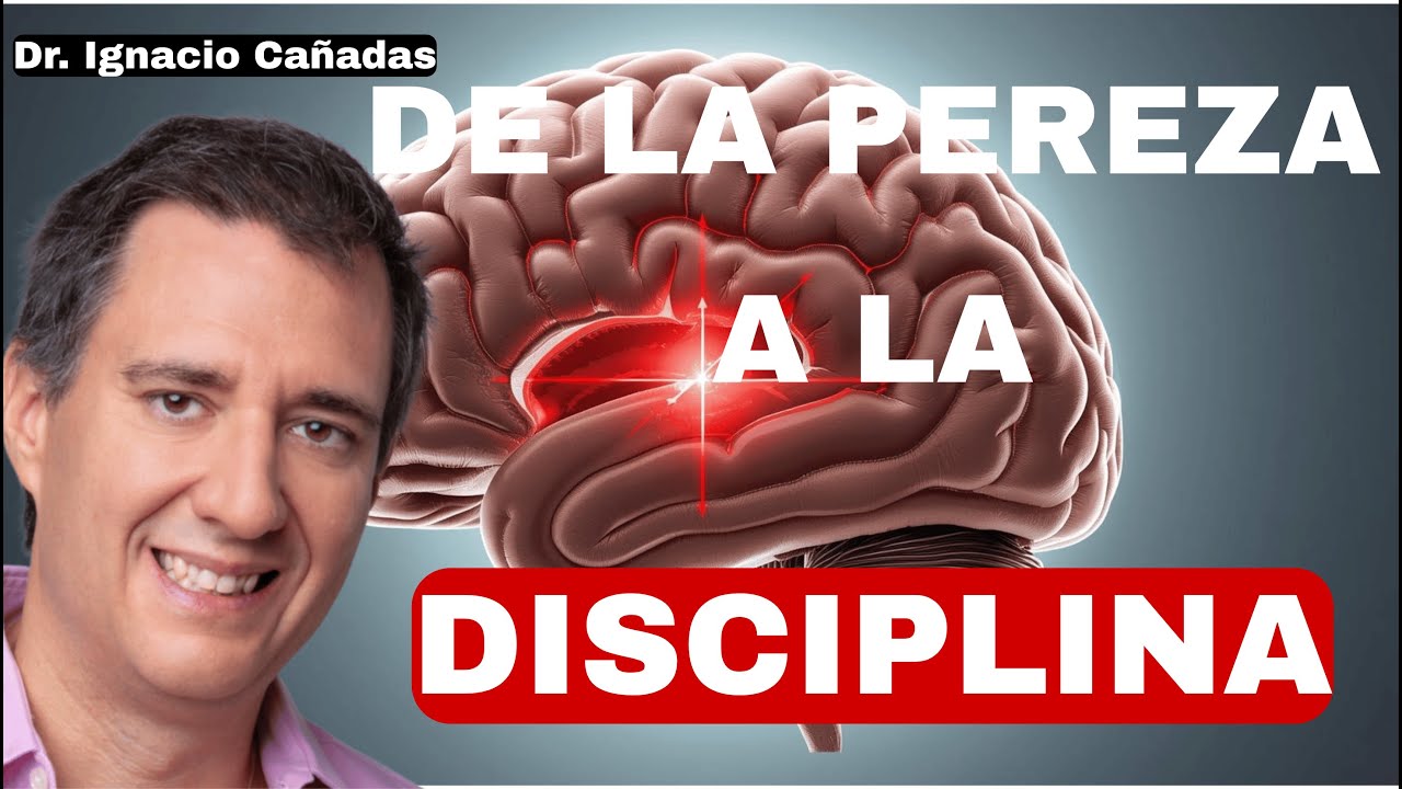 ¡Los 3 HÁBITOS QUE TRANSFORMARÁN TU CEREBRO PEREZOSO EN UNO IMPARABLE! [Según la NEUROCIENCIA]