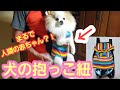 【ポメラニアン ライト】犬の抱っこ紐★かわいい 赤ちゃん 説明動画【Pomeranian raito】Dog buckle carriers★dog's fun goods. Cute