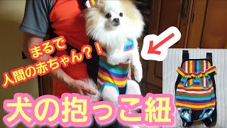【ポメラニアン ライト】犬の抱っこ紐★かわいい 赤ちゃん 説明動画【Pomeranian raito】Dog buckle carriers★dog's fun goods. Cute