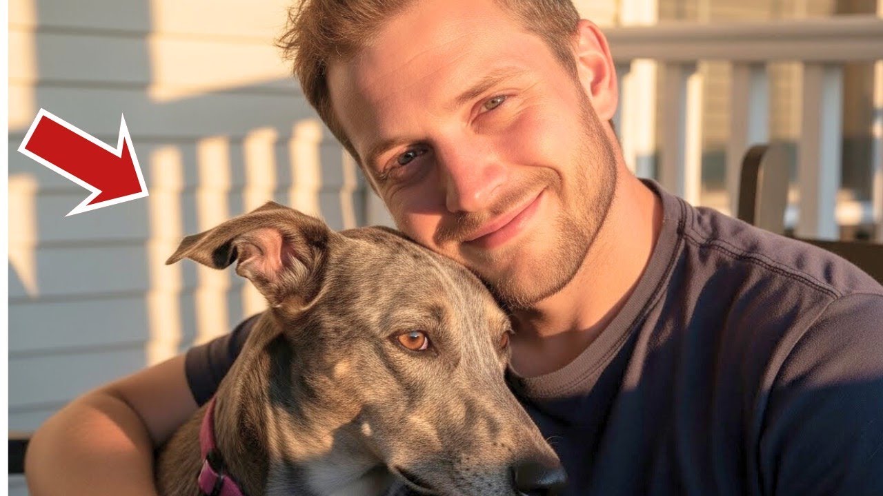 The Moment a Foster Dog Realized She Was Finally Home – This Reaction Is Viral for a Reason