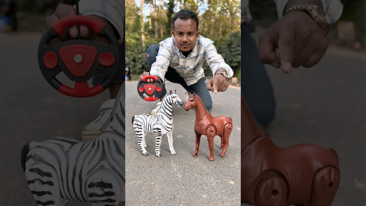 Remote control rc horse and zebra Unboxing oilo