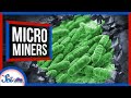 Using Microbes to Mine Mars: The Future of Biomining