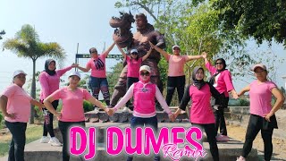 Dumes  Dj Remix  Senam Kreasi  Goyang Viral Mas Gilga