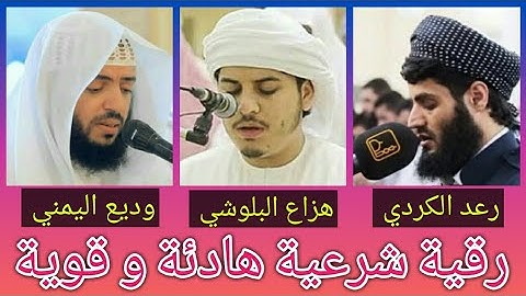 رقية شرعية هادئة و قوية بصوت رعد محمد الكردي و هزاع البلوشي و وديع اليمني . الرقية الشرعية.
